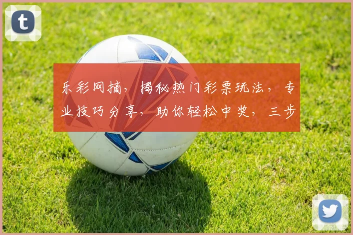 乐彩网摘，揭秘热门彩票玩法，专业技巧分享，助你轻松中奖，三步攻略，不容错过