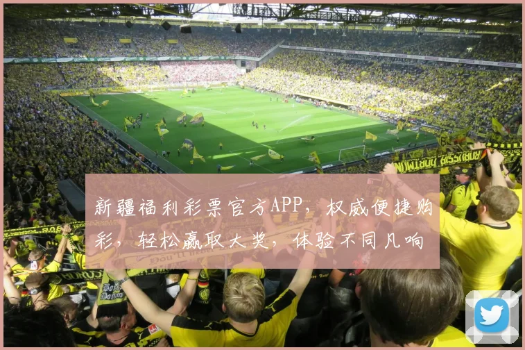 新疆福利彩票官方APP，权威便捷购彩，轻松赢取大奖，体验不同凡响