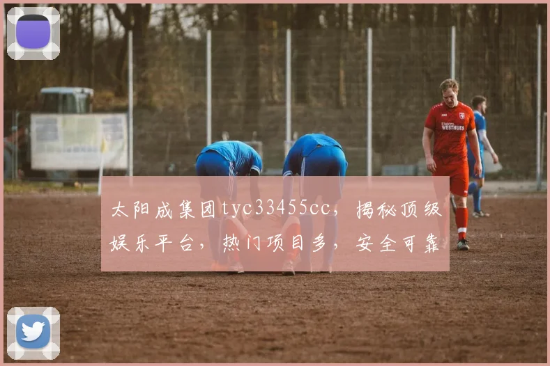 太阳成集团tyc33455cc，揭秘顶级娱乐平台，热门项目多，安全可靠，体验非凡，必看攻略