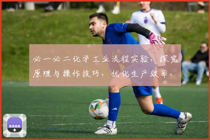 必一必二化学工业流程实验，探究原理与操作技巧，优化生产效率，提高产品质量